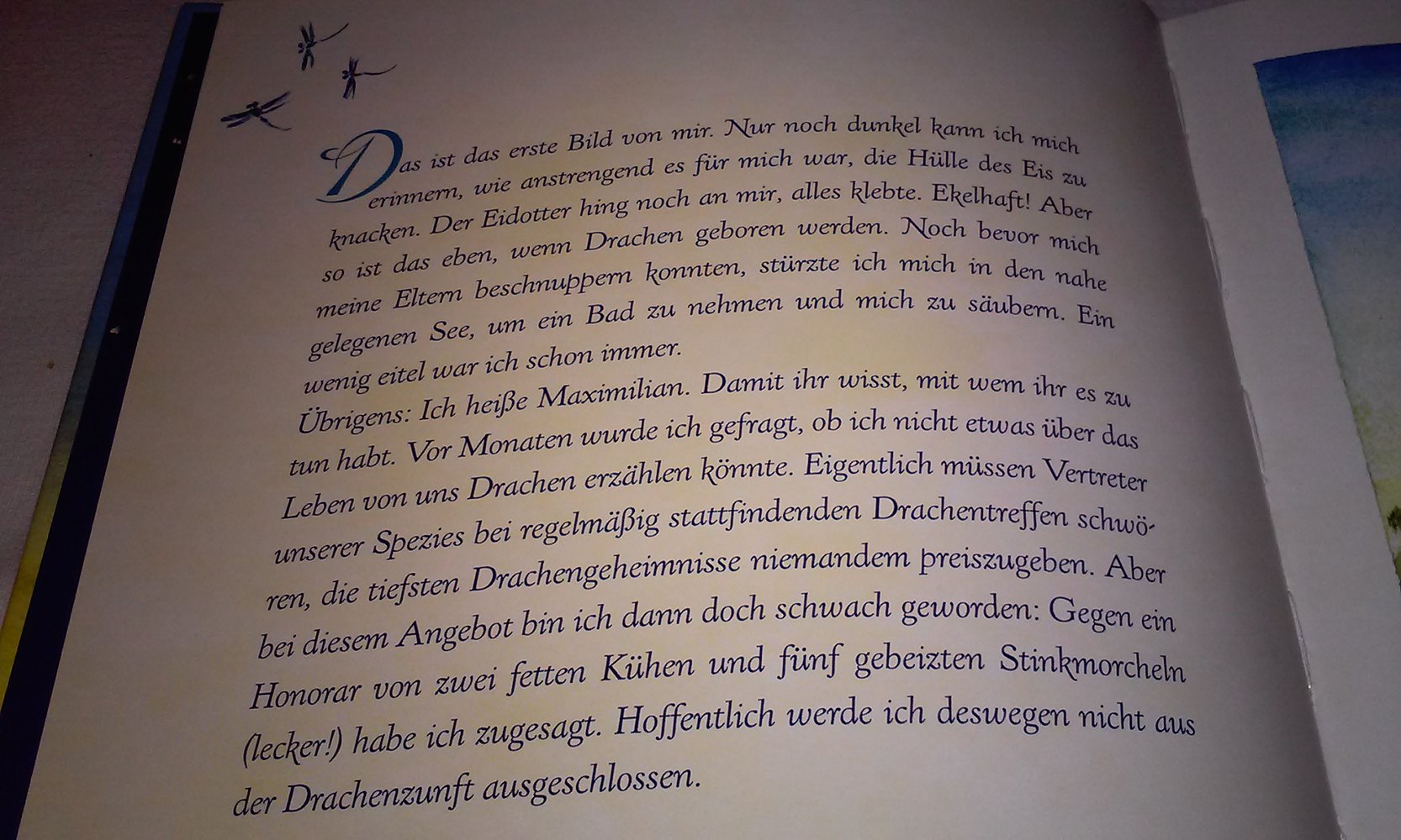 Das kleine Buch der Drachen  Geschenkbuch Sammlerstück