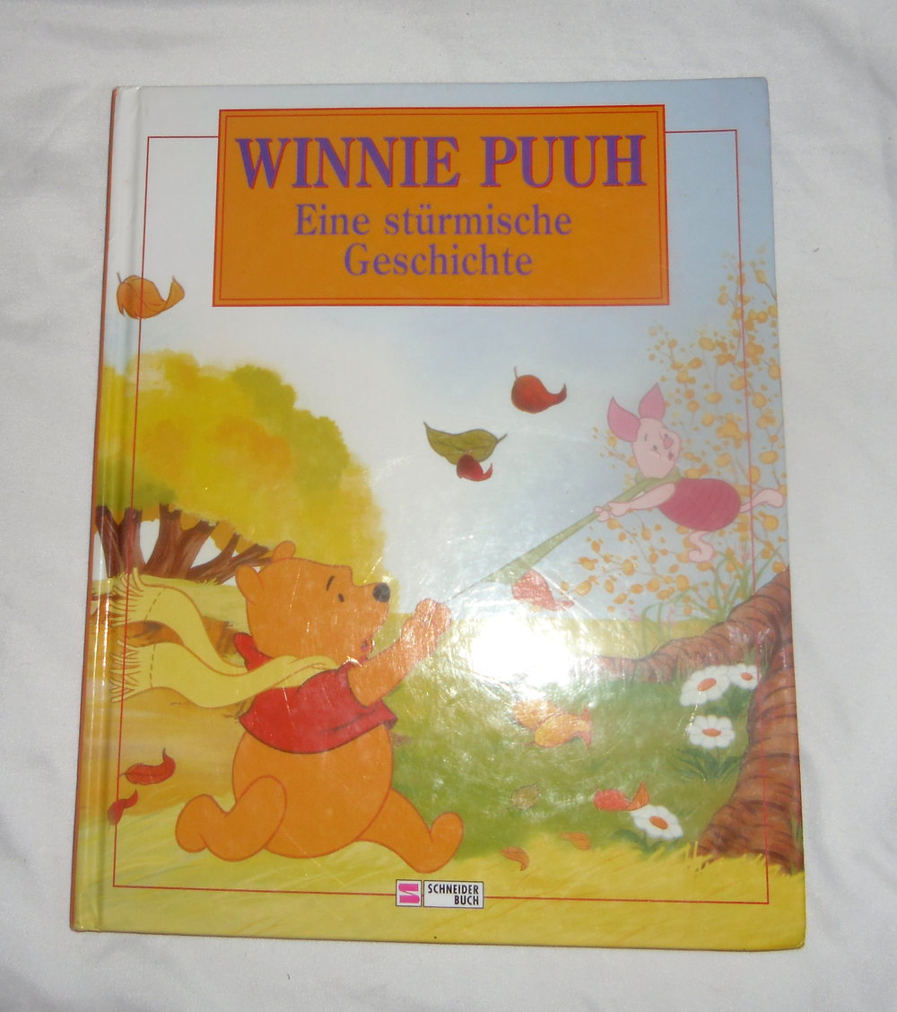 Winnie Puuh-eine stürmische Geschichte