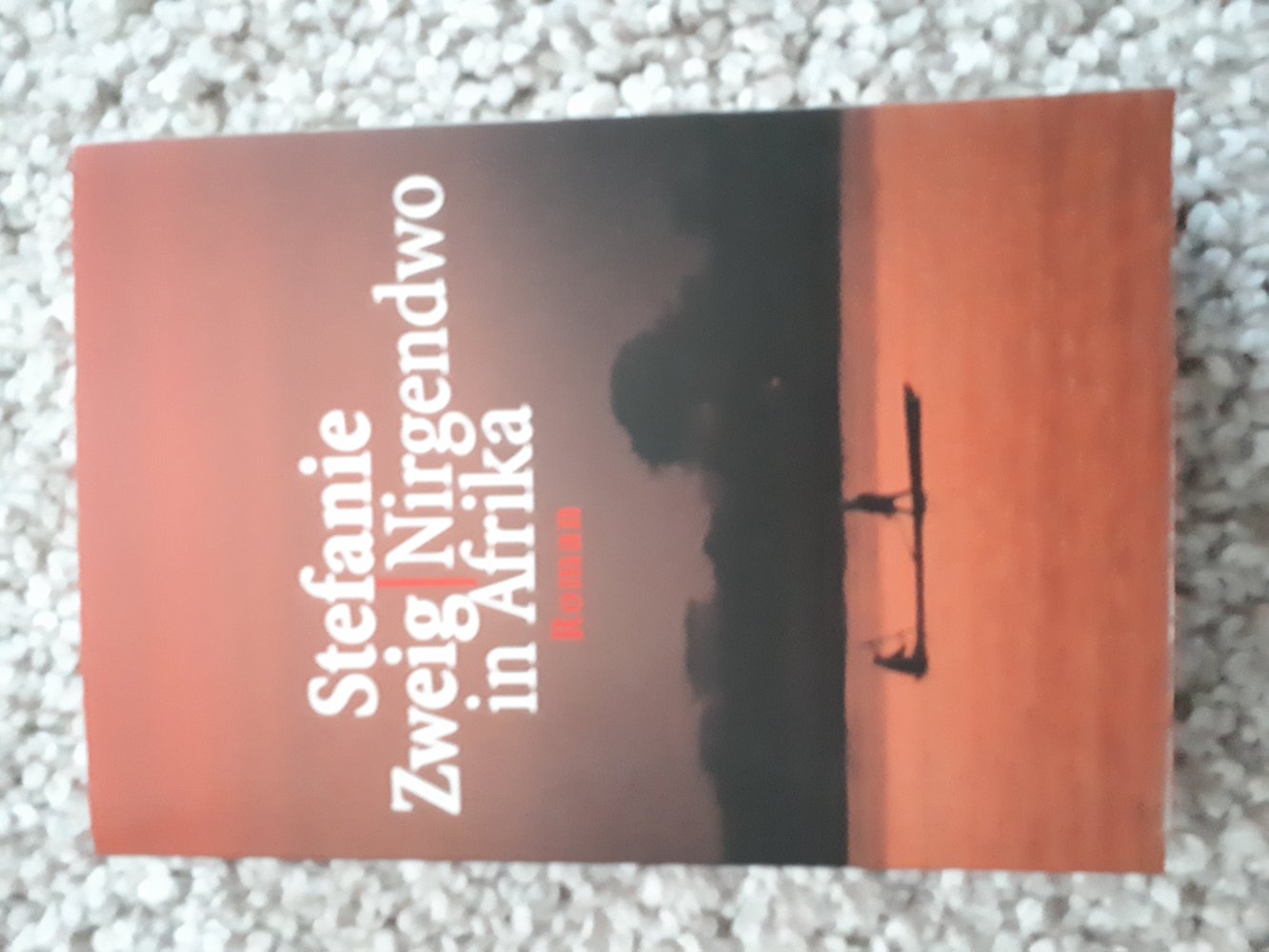 Nirgendwo in Afrika