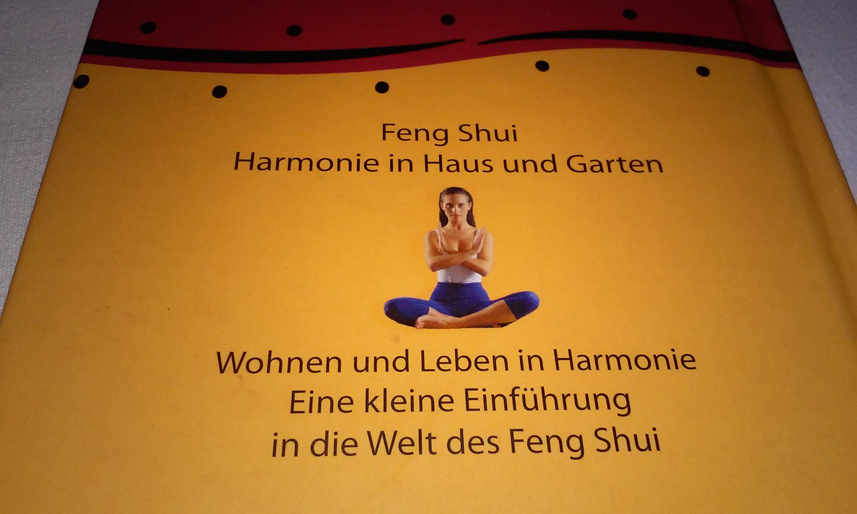 Feng Shui - Harmonie in Haus und Garten: Wissen und Weisheit Geschenkebüchlein