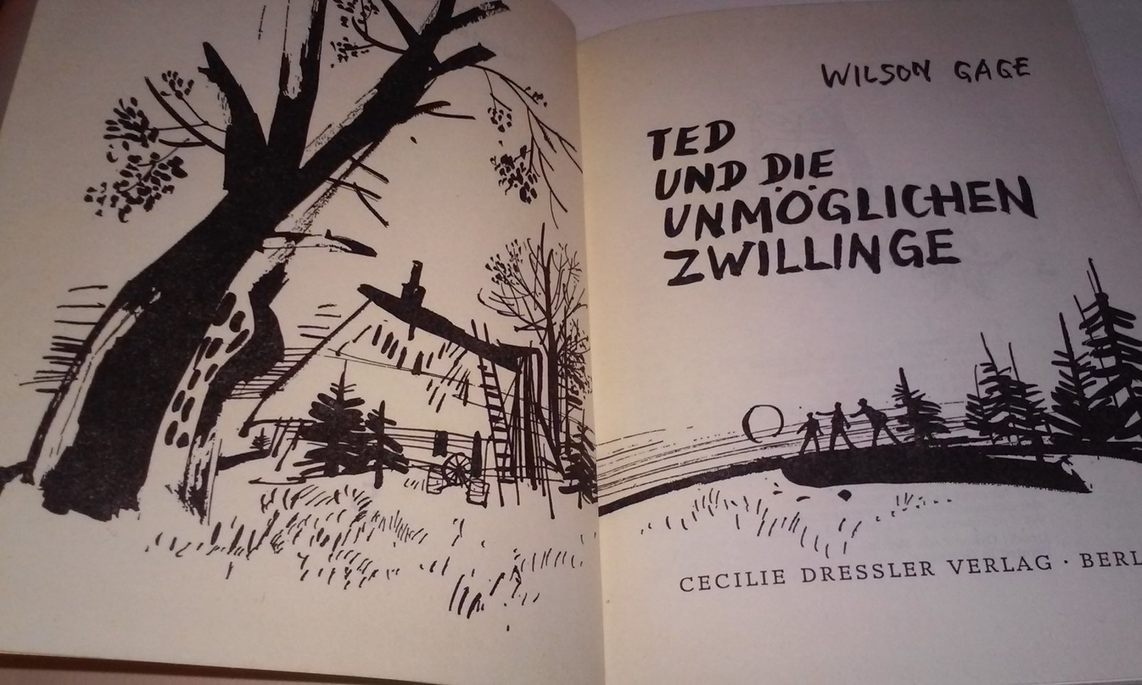 Ted und die unmöglichen Zwillinge  Wilson Gage  antikes Kinderbuch Rarität Sammlerstück