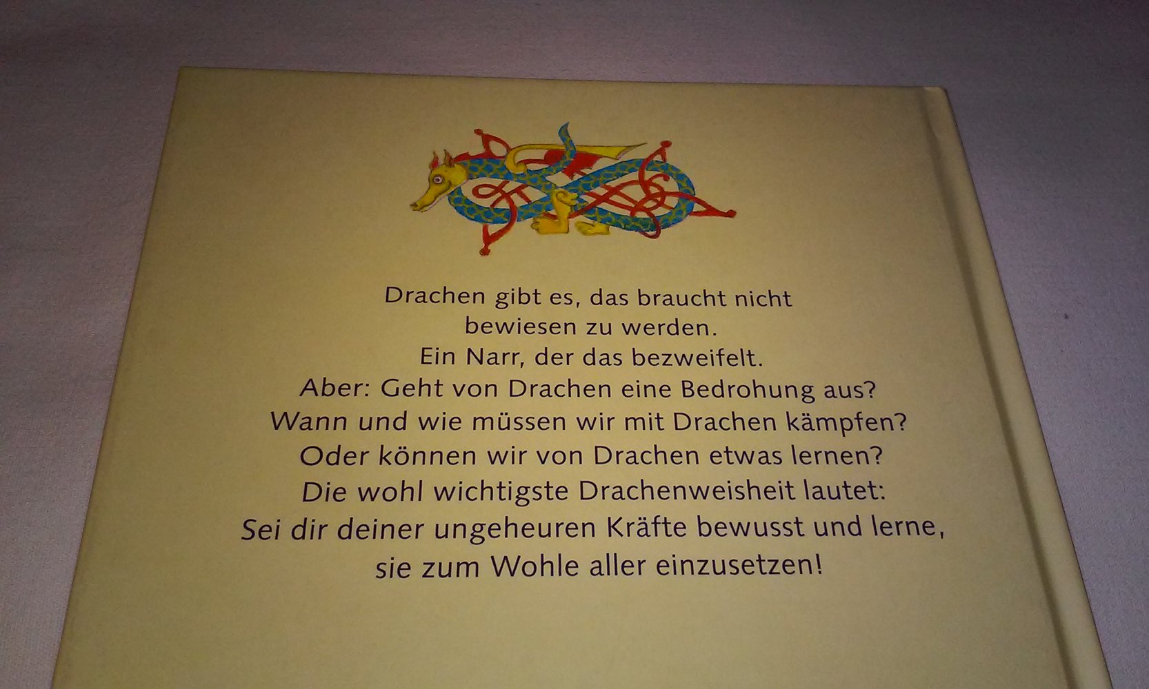 Das kleine Buch der Drachen  Geschenkbuch Sammlerstück