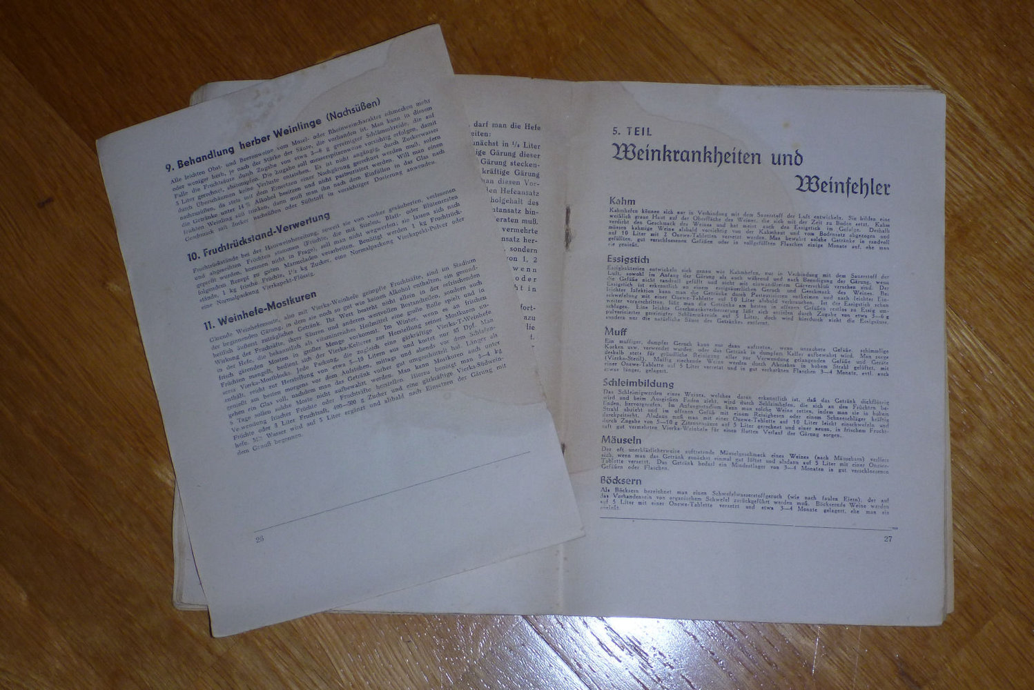 Vierka Weinbuch