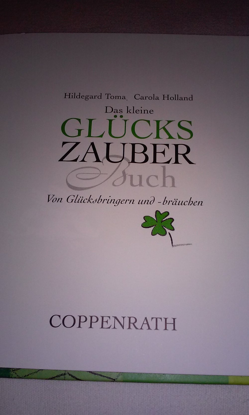 Das kleine Glückszauberbuch  Geschenkbuch Sammlerstück