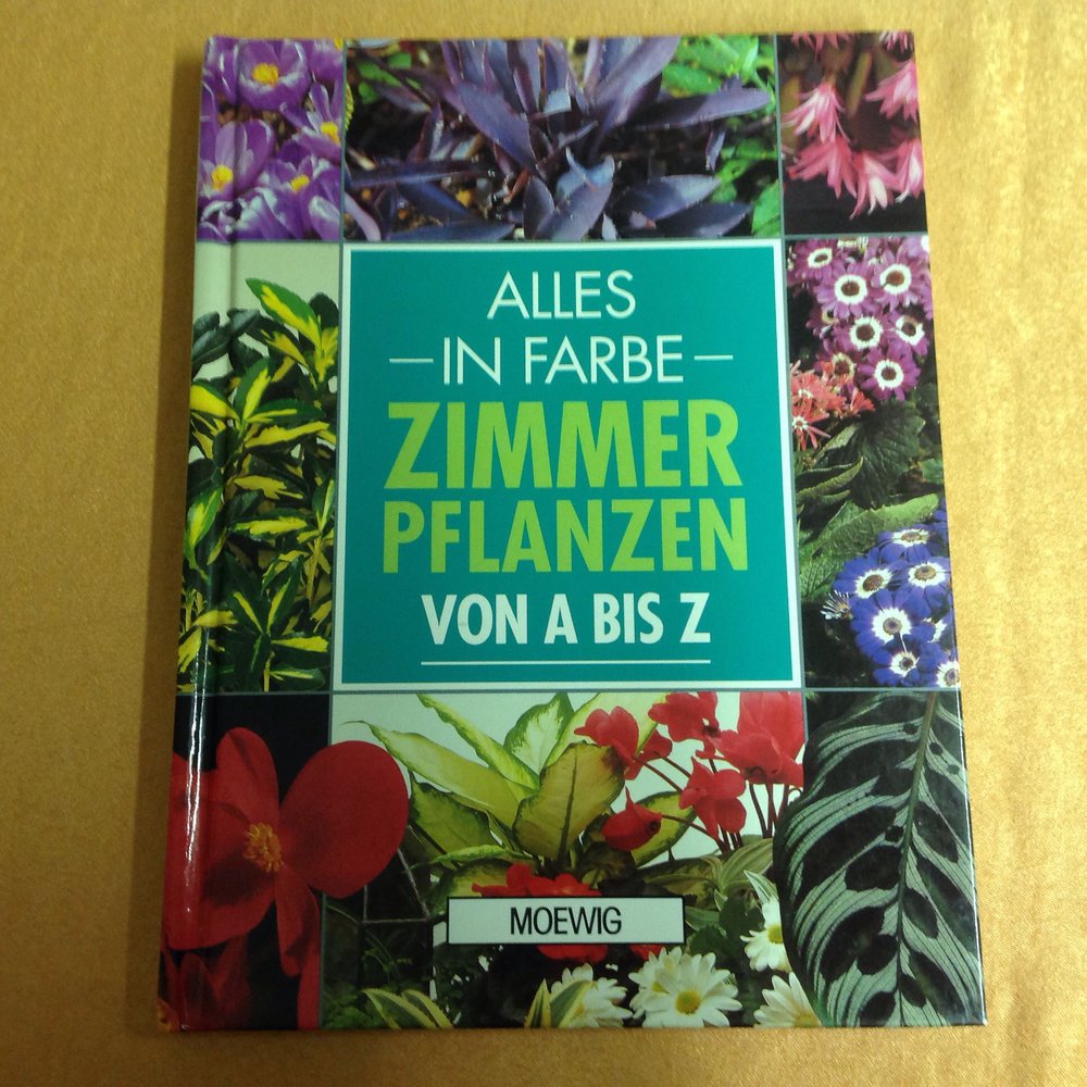 Zimmerpflanzen von A bis Z