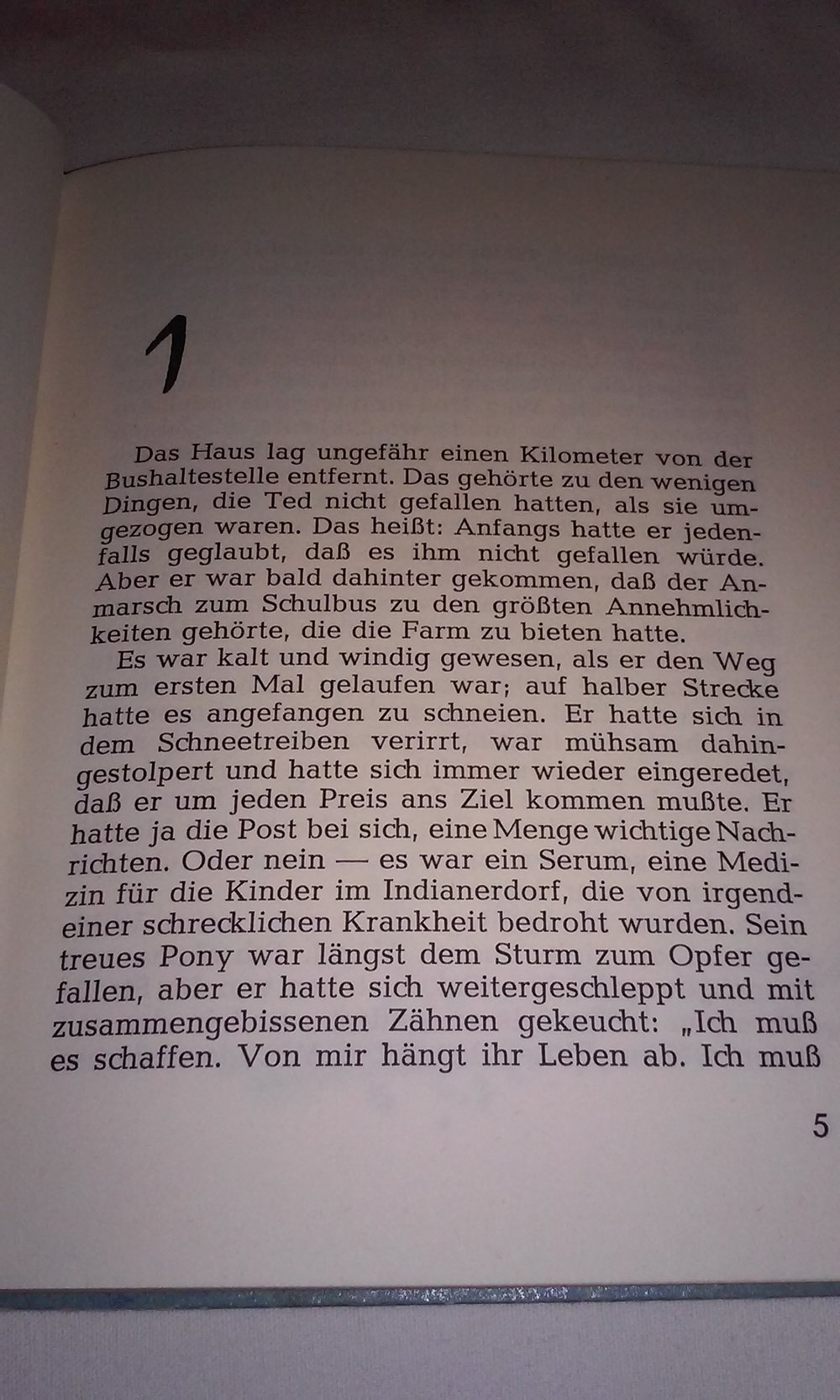 Ted und die unmöglichen Zwillinge  Wilson Gage  antikes Kinderbuch Rarität Sammlerstück