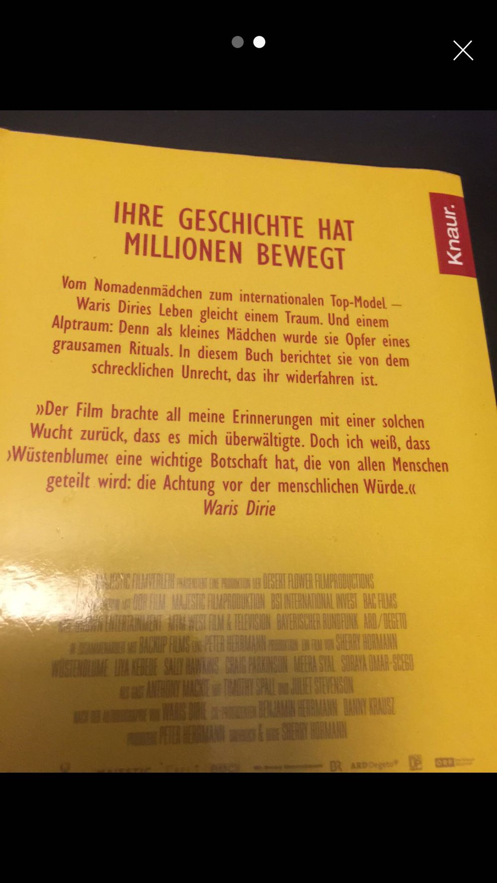 Wüstenblume 