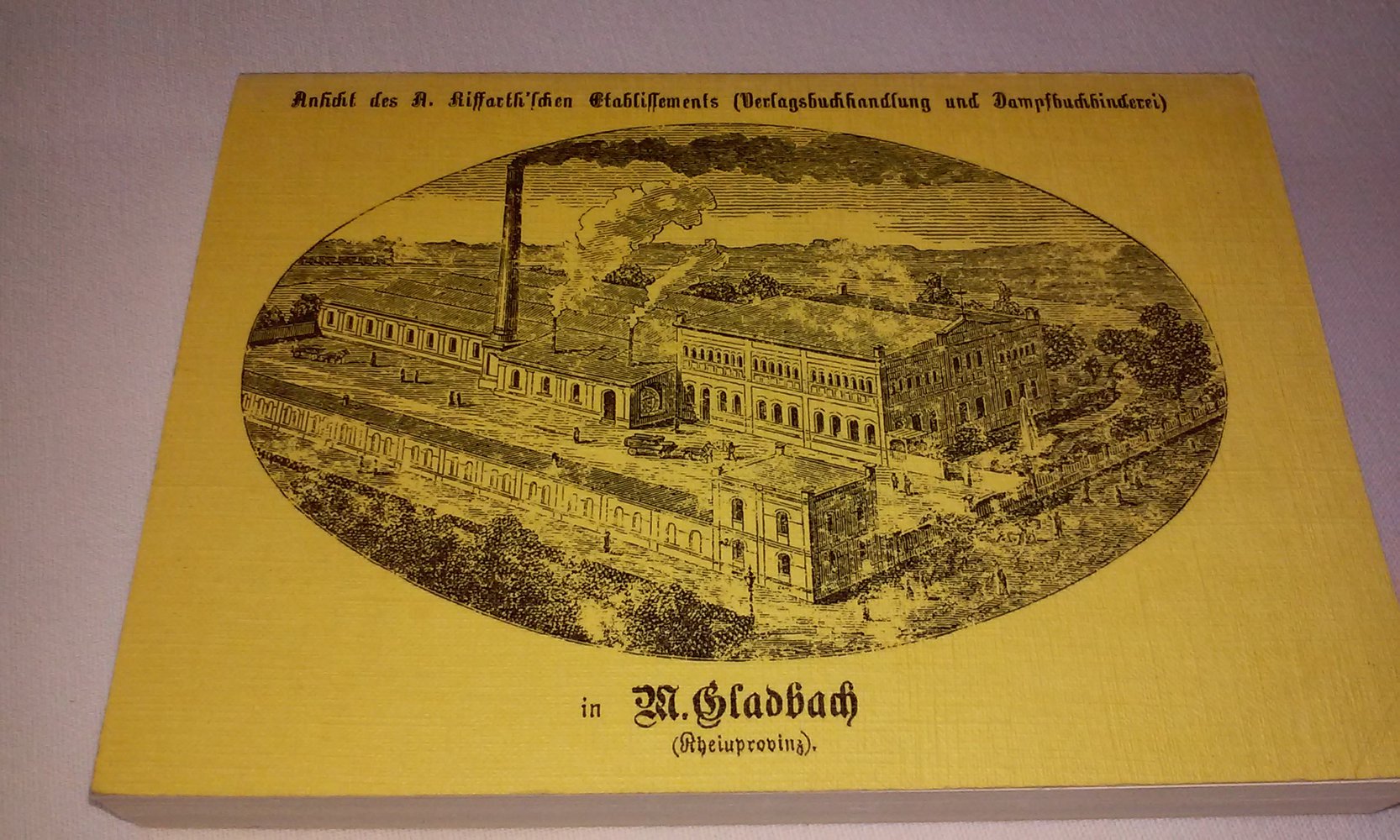 Das häusliche Glück. Vollständiger Haushaltungsunterricht nebst Anleitung zum Kochen für Arbeiterfrauen  antik 1975 (reprint 1888)