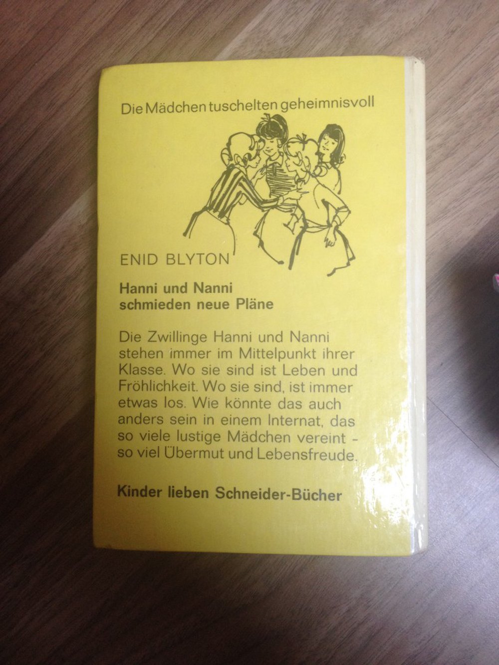 Hanni und Nanni schmieden neue Pläne