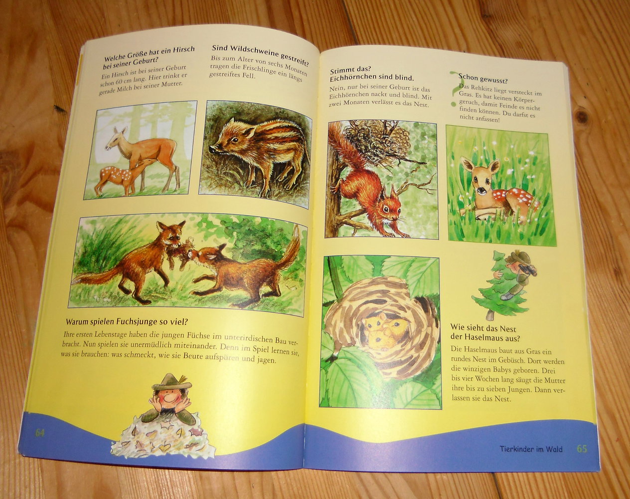 Tiere - 200 Fragen und Antworten - Sachbuch für Kinder ab 6 Jahren