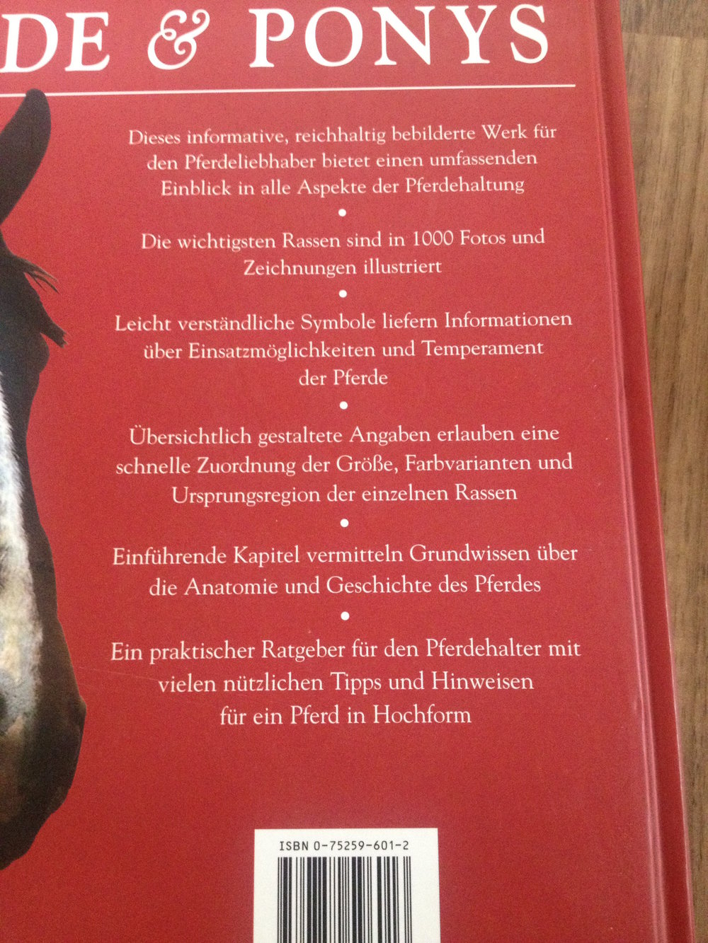 Pferde & Ponys
