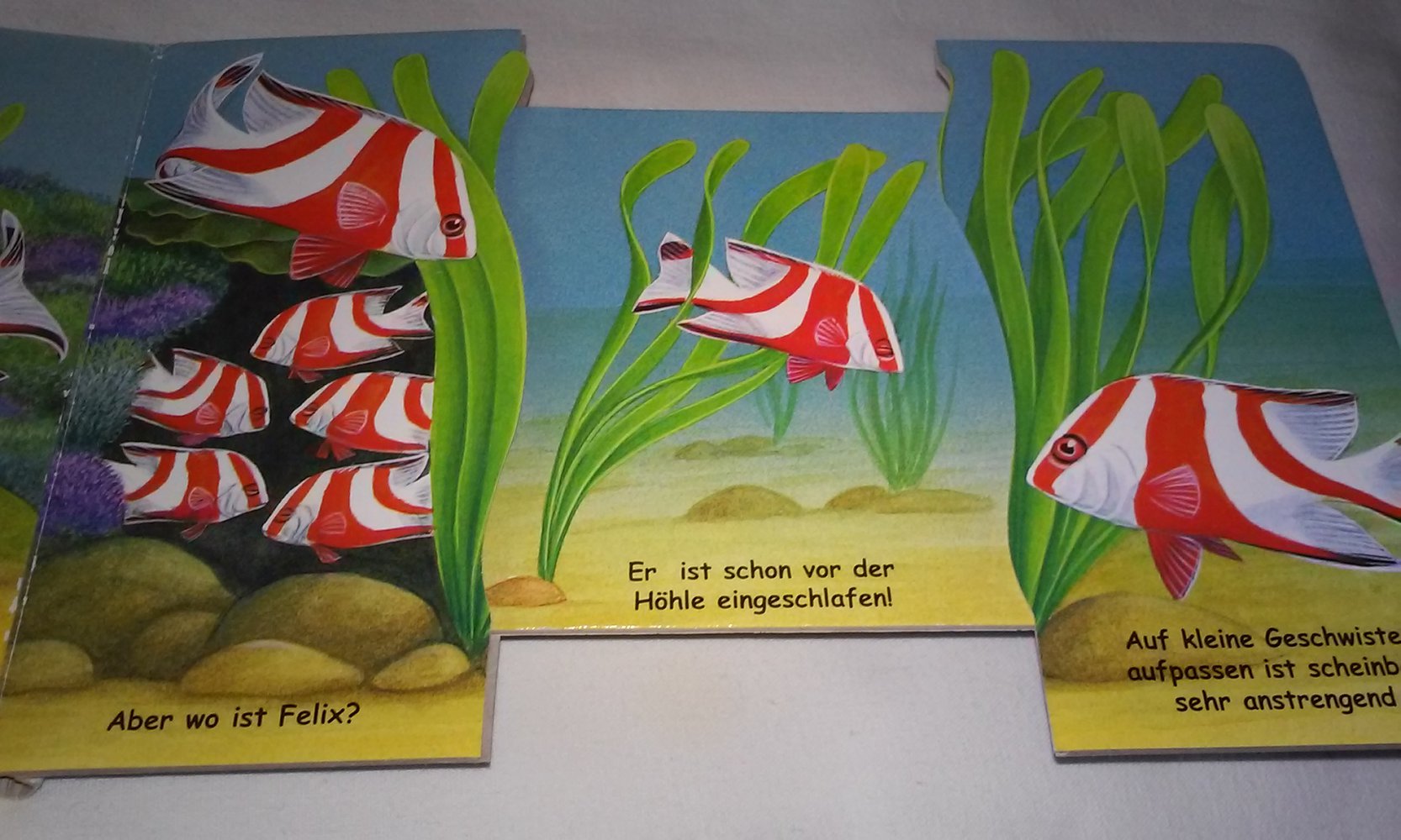 Ziehen und Staunen!: Felix, der Fisch - Ein Buch über Zahlen Pappbilderbuch