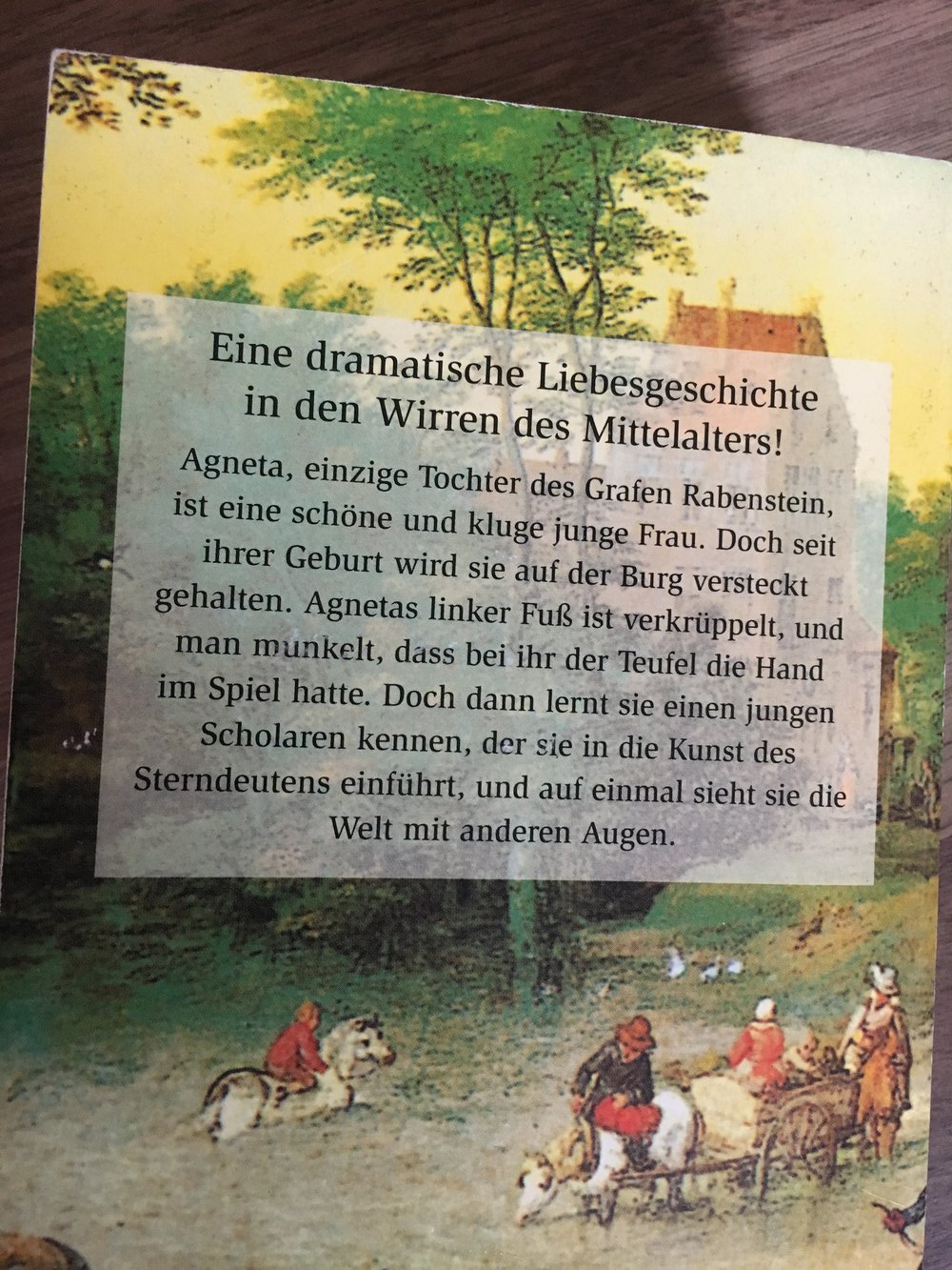 Die Sterndeuterin