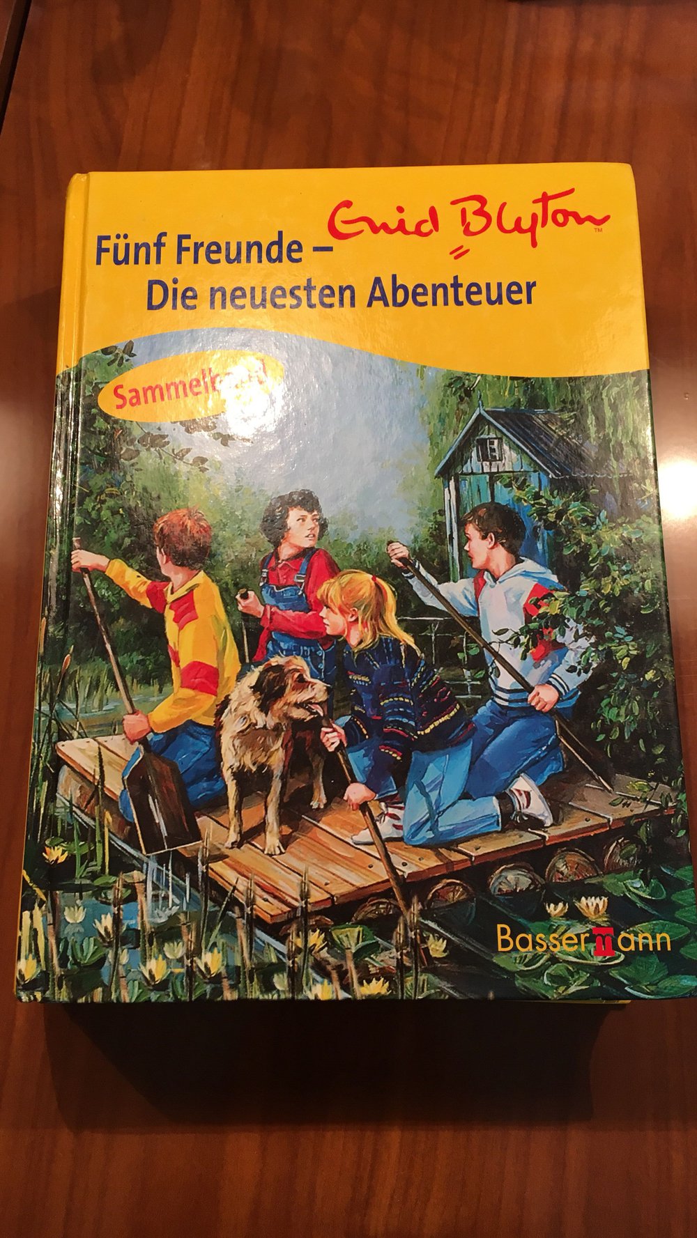 Fünf Freunde - Die neusten Abendteuer 