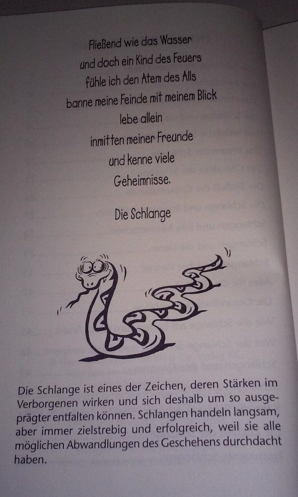 Die verführerische Schlange  das chinesische Horoskop  Sammlerstück Geschenktipp