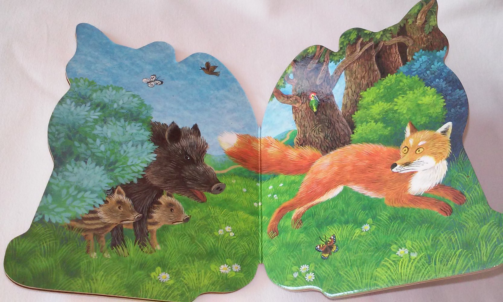 Eichhörnchen Fuchs Formbücher Kinderbücher neuwertig  Sammerstücke