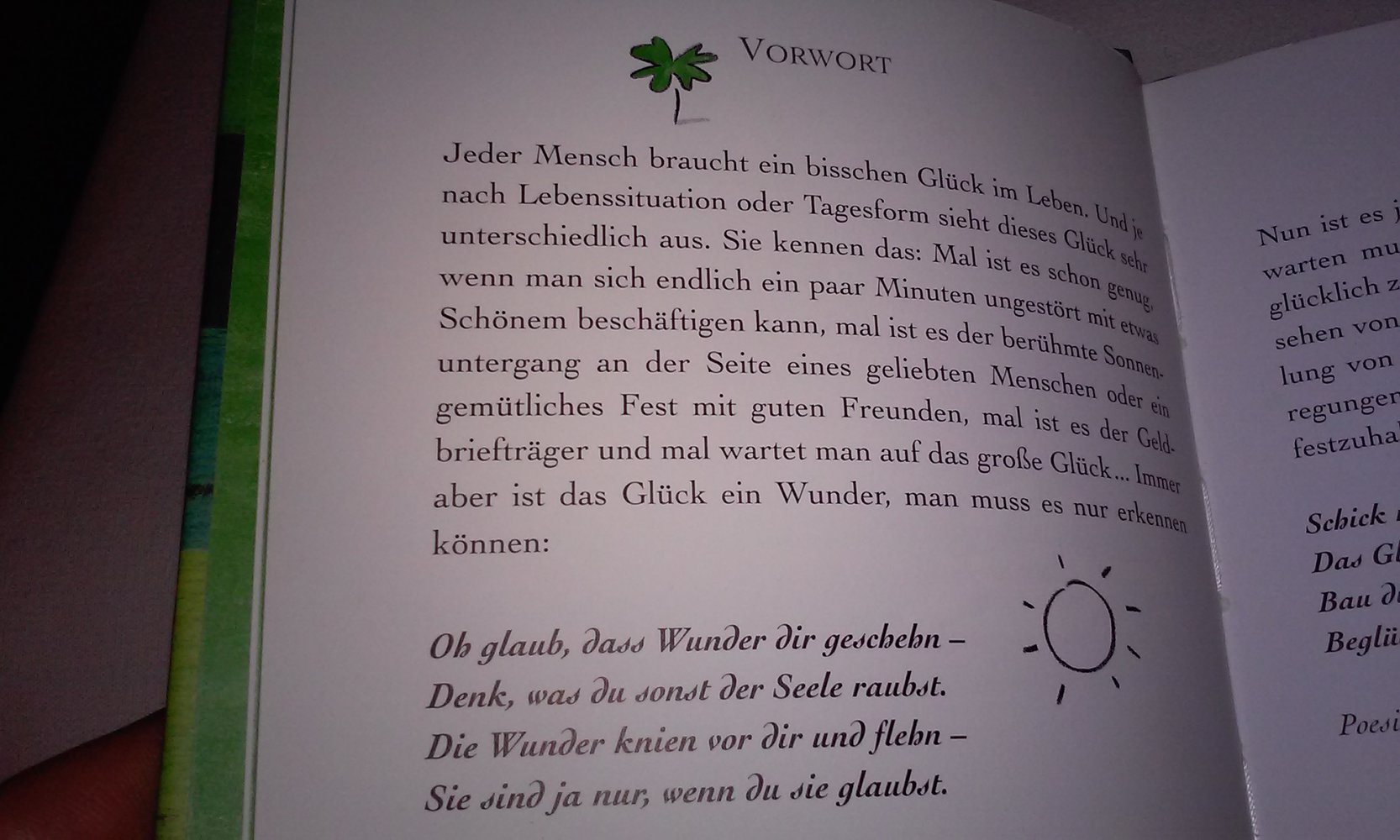 Das kleine Glückszauberbuch  Geschenkbuch Sammlerstück