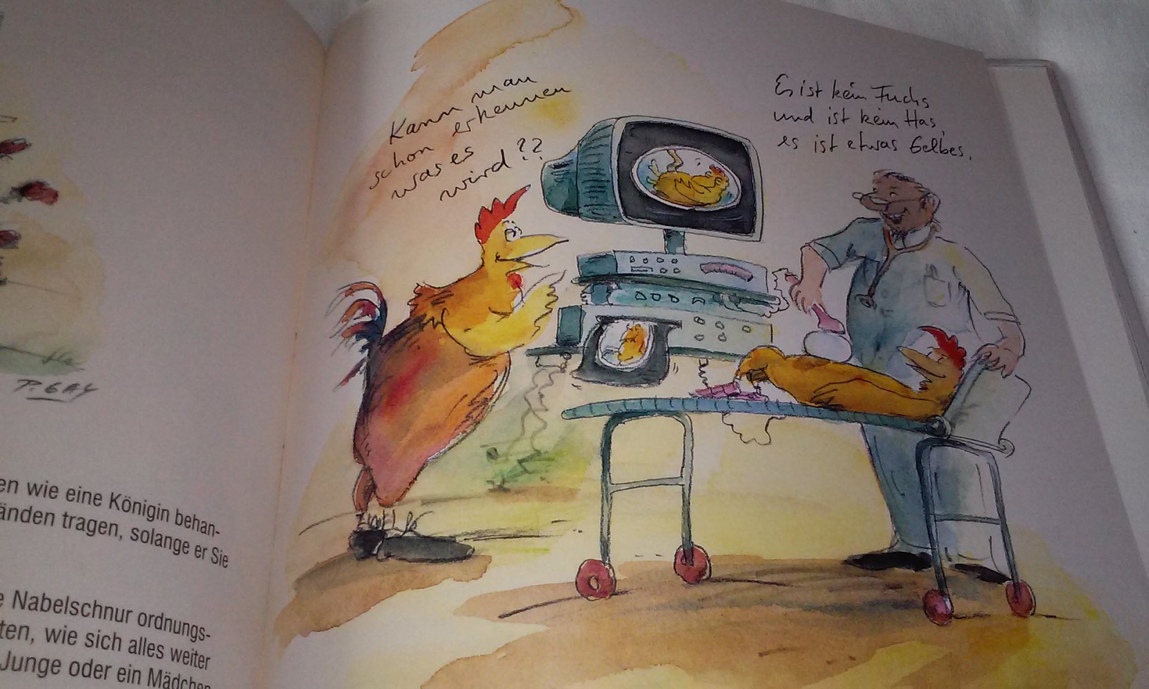 Herzlich Willkommen! Das Buch zum Bauch(Schwangerschaft/Geburt) Cartoon Geschenktipp