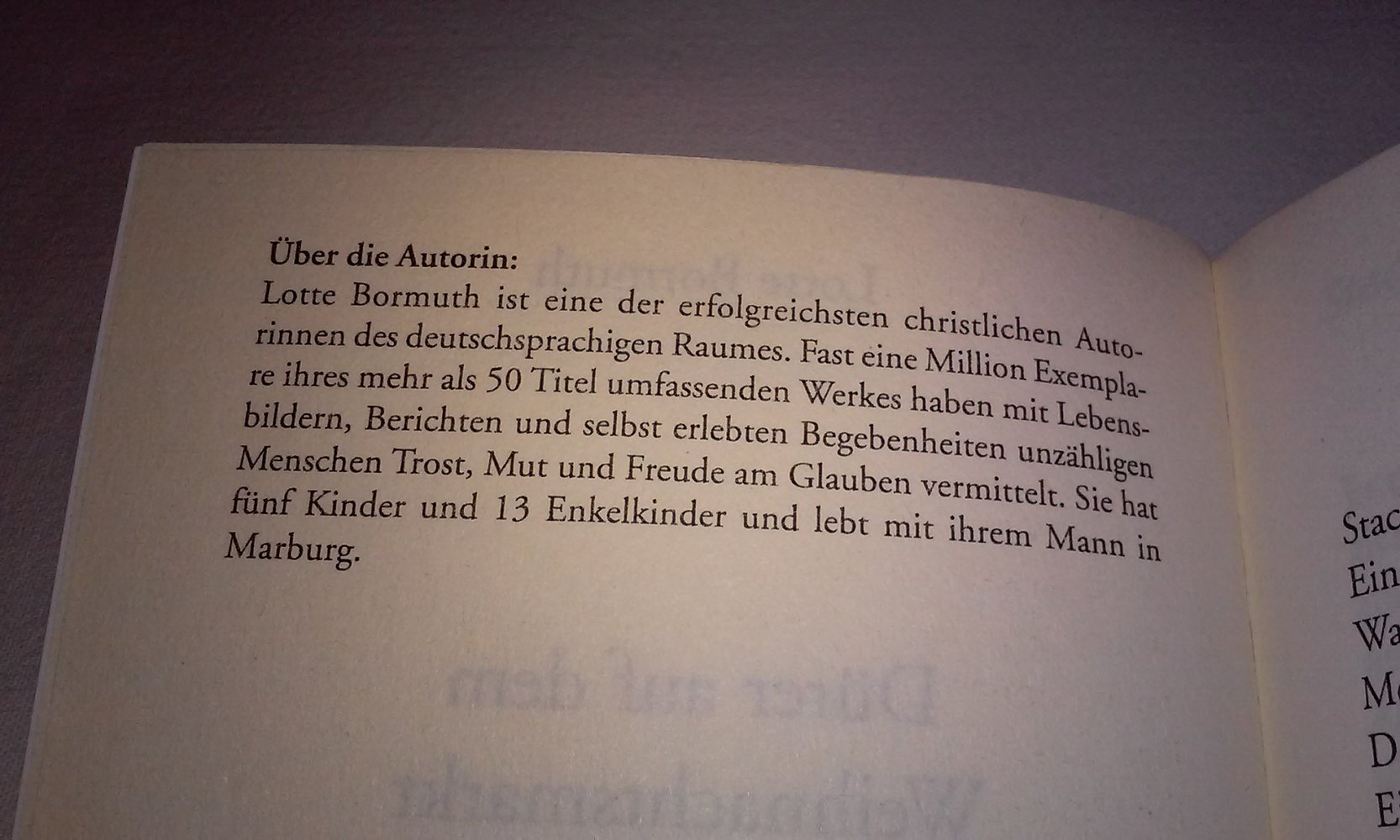 Dürer auf dem Weihnachtsmarkt Geschichten Weihnachten und Advent von Lotte Bormuth