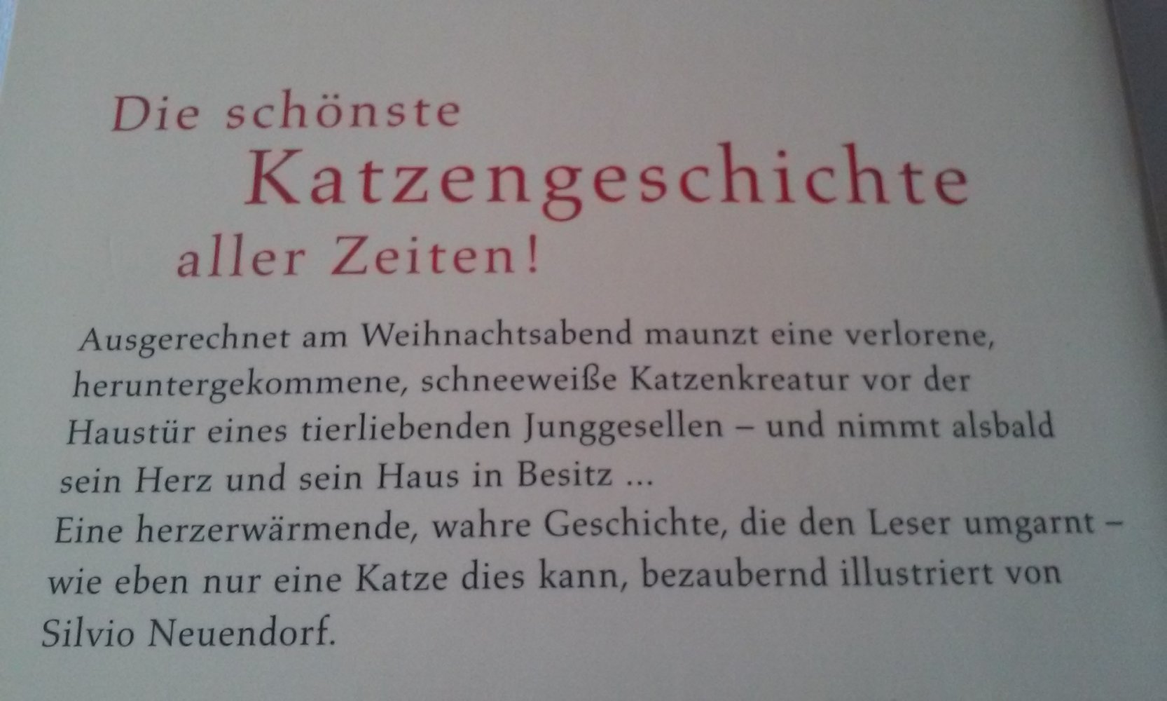 Die Katze, die zur Weihnacht kam  wahre Geschichte/Roman/Erzählung  -Geschenktipp-