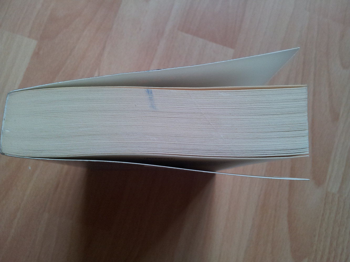  Buch - Epsilon - David Ambrose