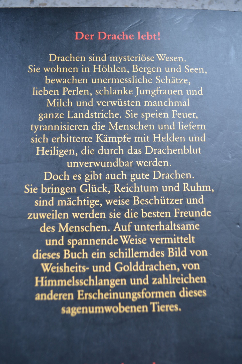 Das Drachenbuch - Der Drache lebt!