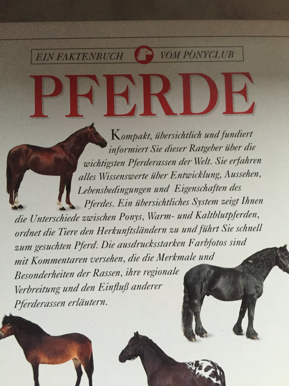 Pferde