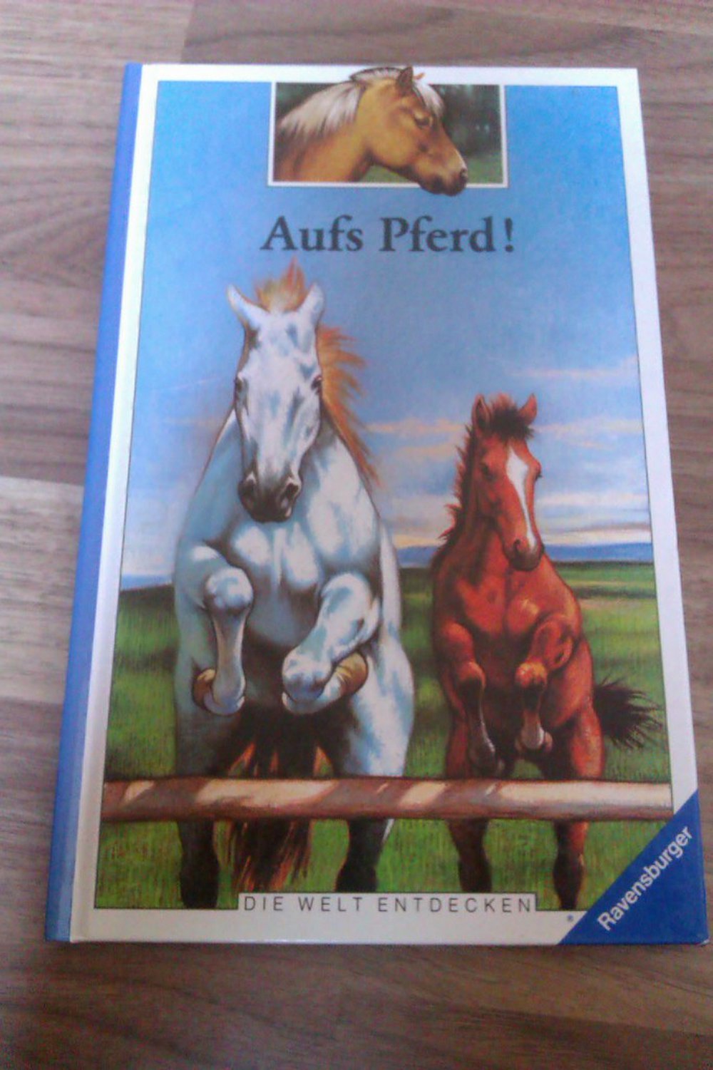 Aufs Pferd!