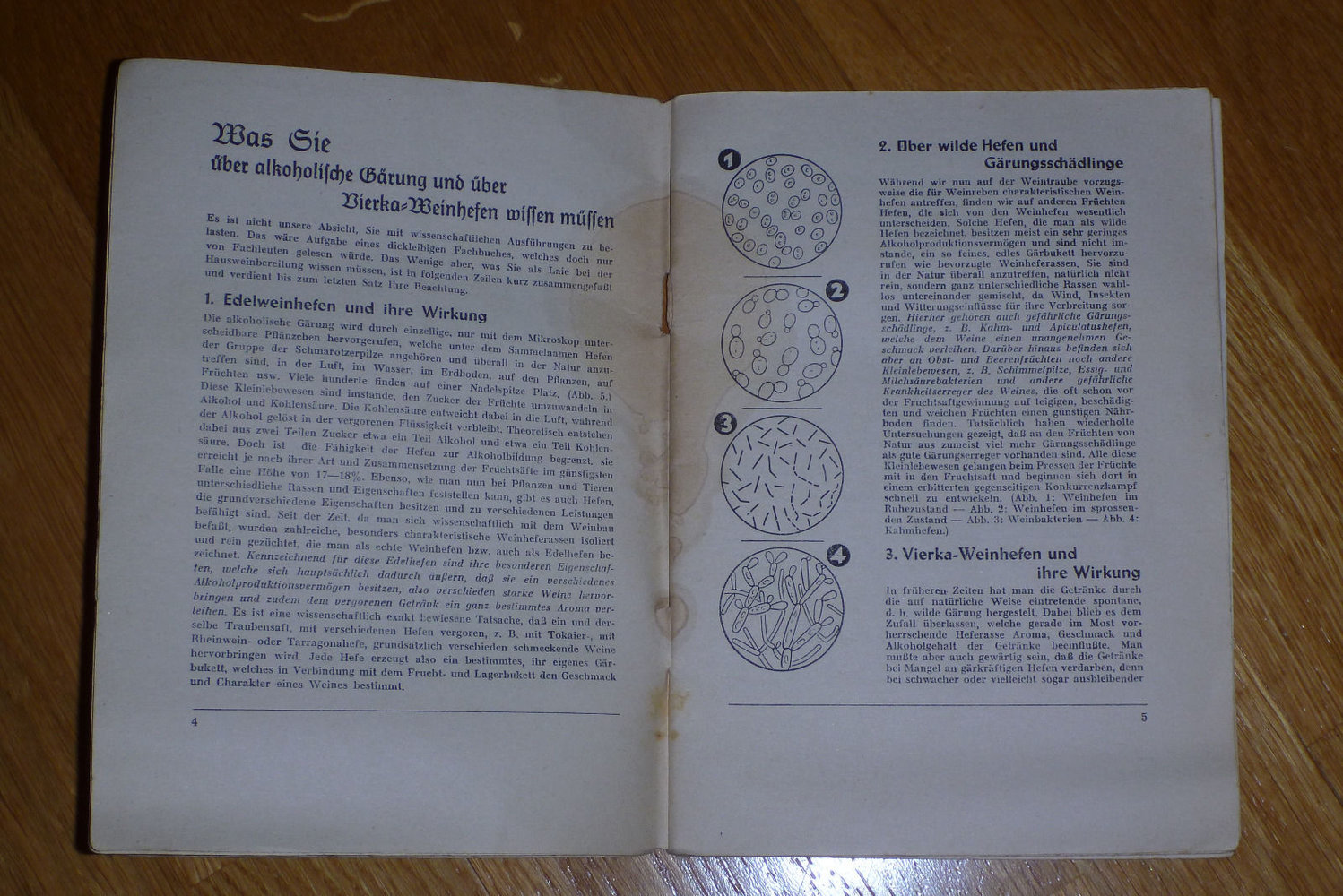Vierka Weinbuch