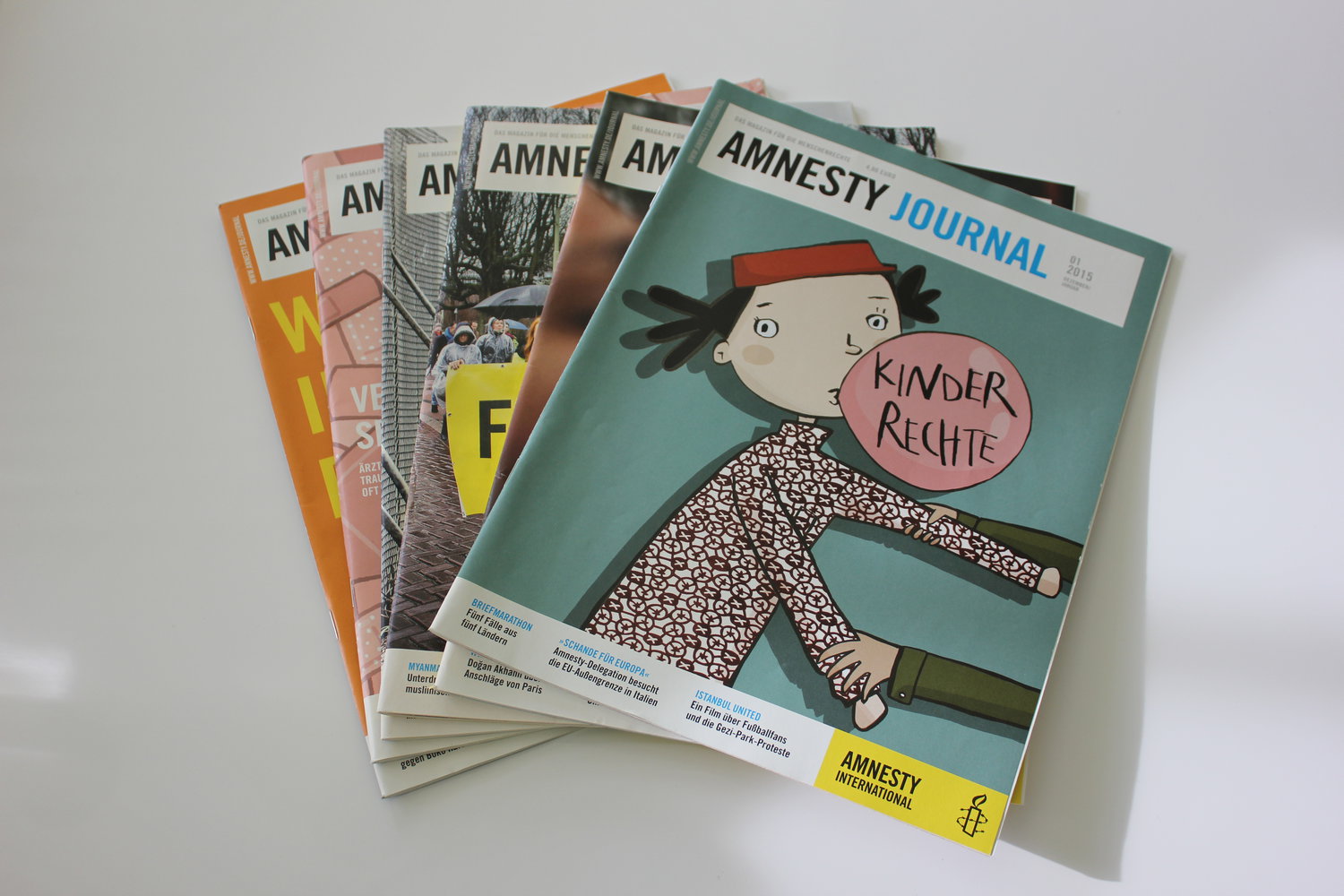 Amnesty Journal 2015