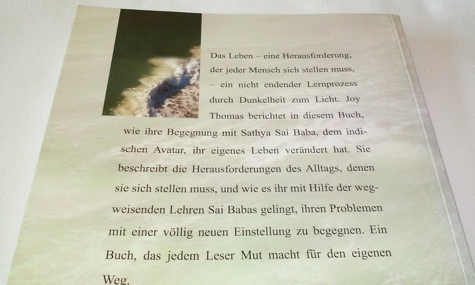 Das Leben ist eine Herausforderung, begegne ihr!  Joy Thomas  Sathya Sai  Sammlerstück