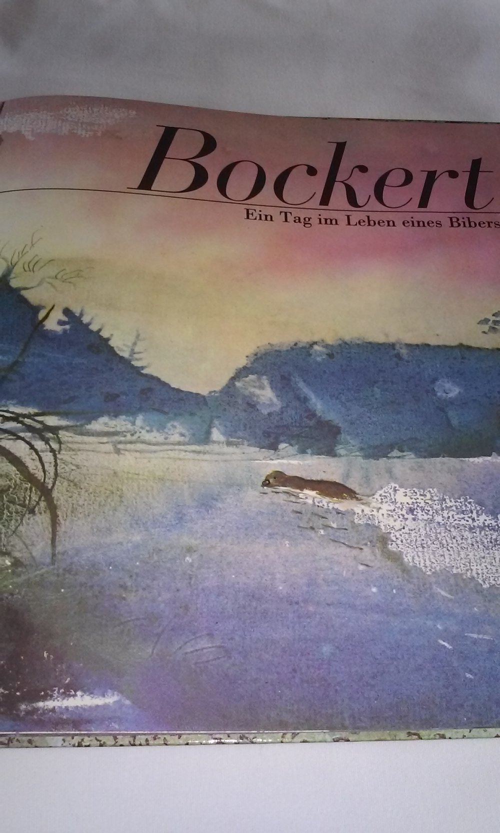 Bockert. Ein Tag im Leben eines Bibers altes Kinderbuch Sammlerstück  Geschenktipp