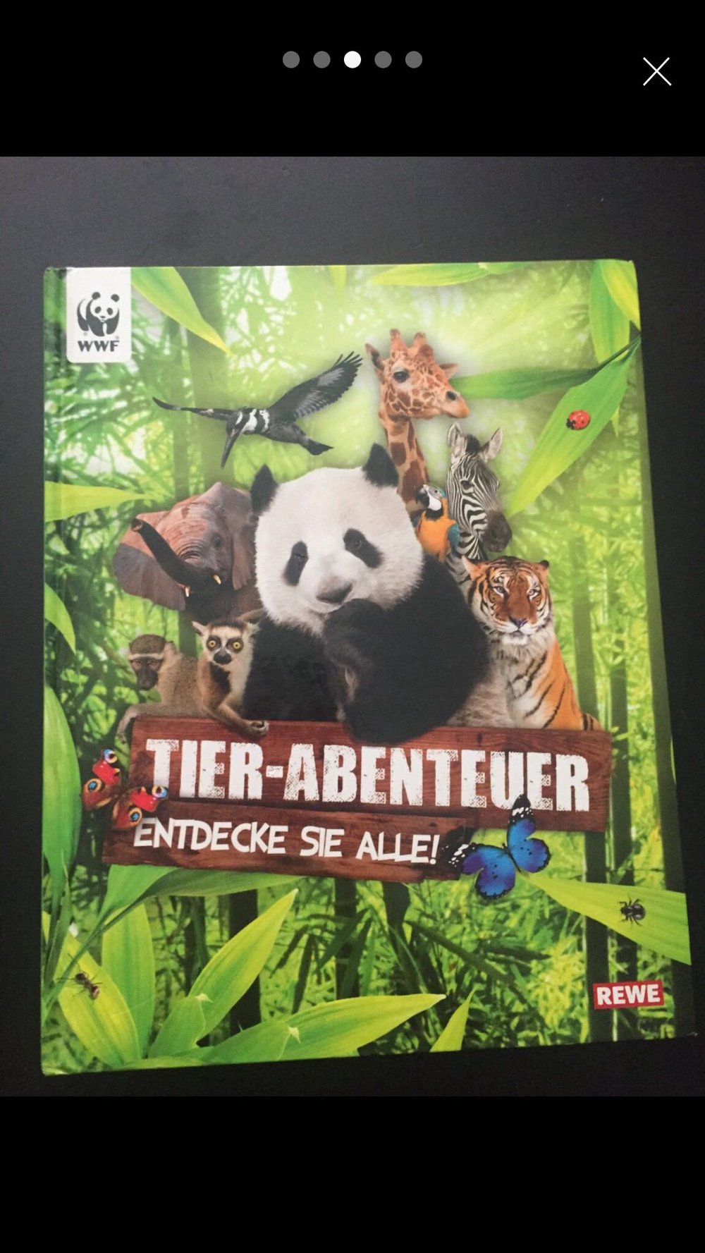 Kinderbuch 
