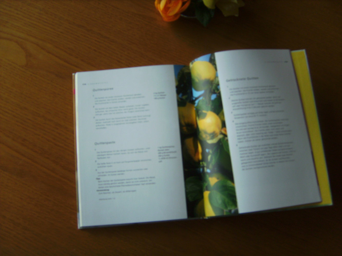 Quitten, Zubereitung Rezepte, Wissenswertes, Gerichte, Desserts, Eingemachtes Kochbuch, Das Comeback einer vergessenen Frucht