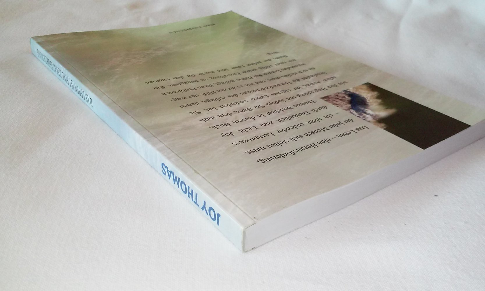 Das Leben ist eine Herausforderung, begegne ihr!  Joy Thomas  Sathya Sai  Sammlerstück