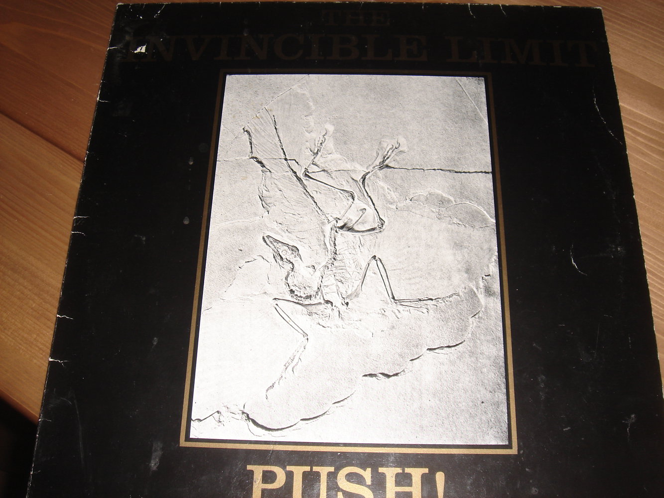 the invincible limit PUSH! vinyl