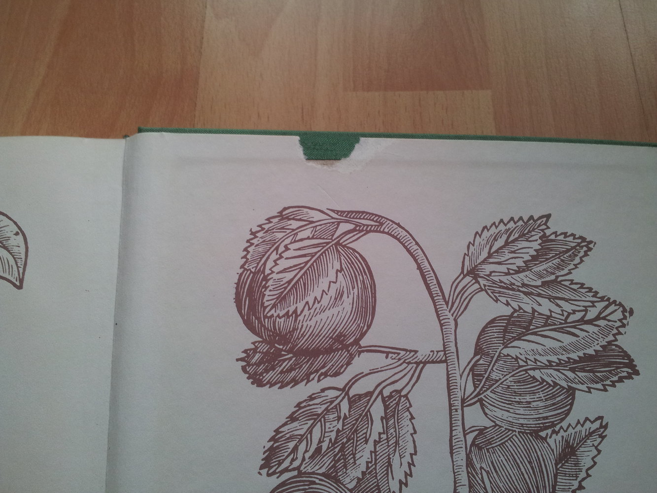 Kochbuch - Das grosse Buch der vegetarischen Küche