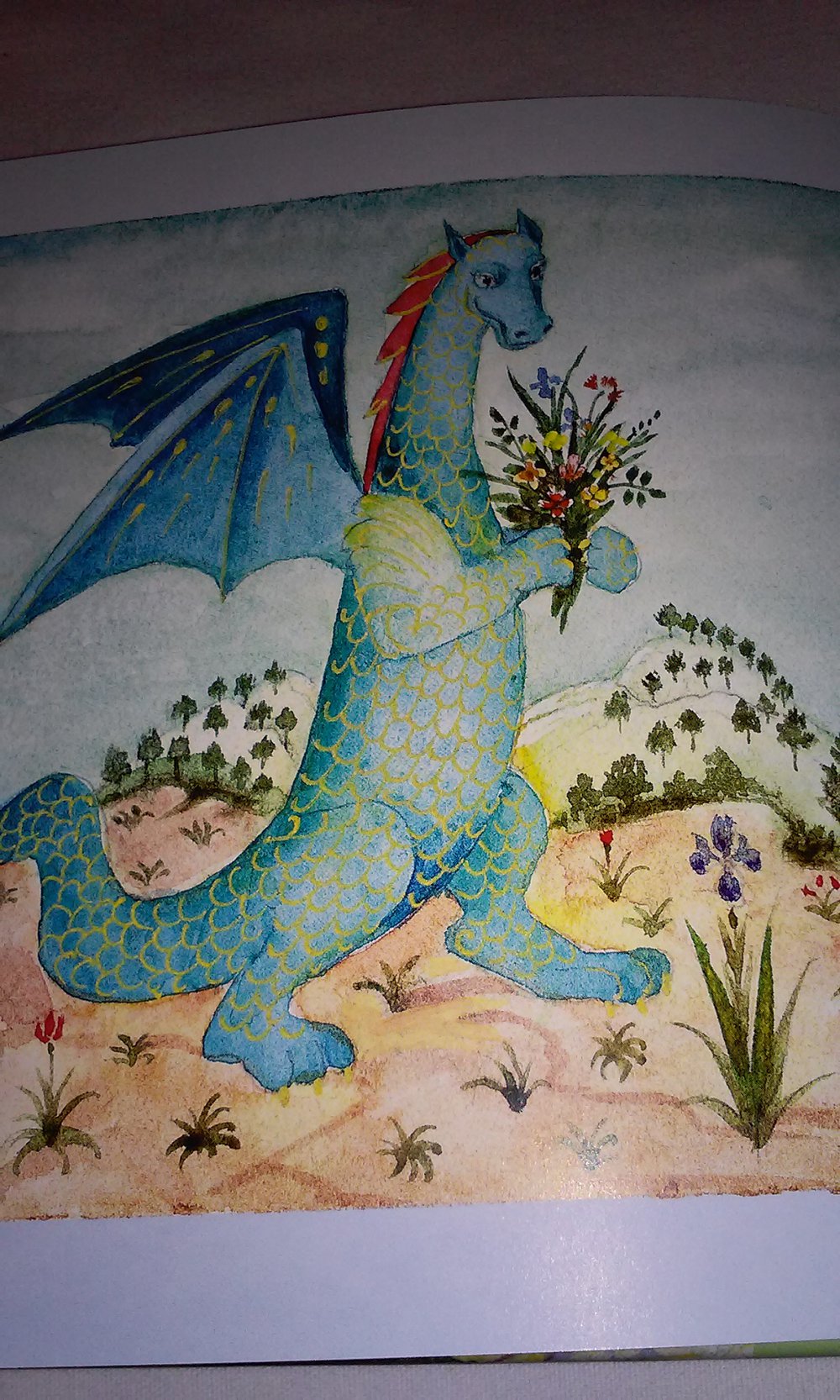 Das kleine Buch der Drachen  Geschenkbuch Sammlerstück