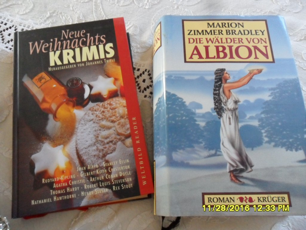 Das Druidentor HOHLBEIN Marion ZIMMER-BRADLEY Mo Hayder Die Behandlung Fantasy Krimi Dicke Schmöker TOP