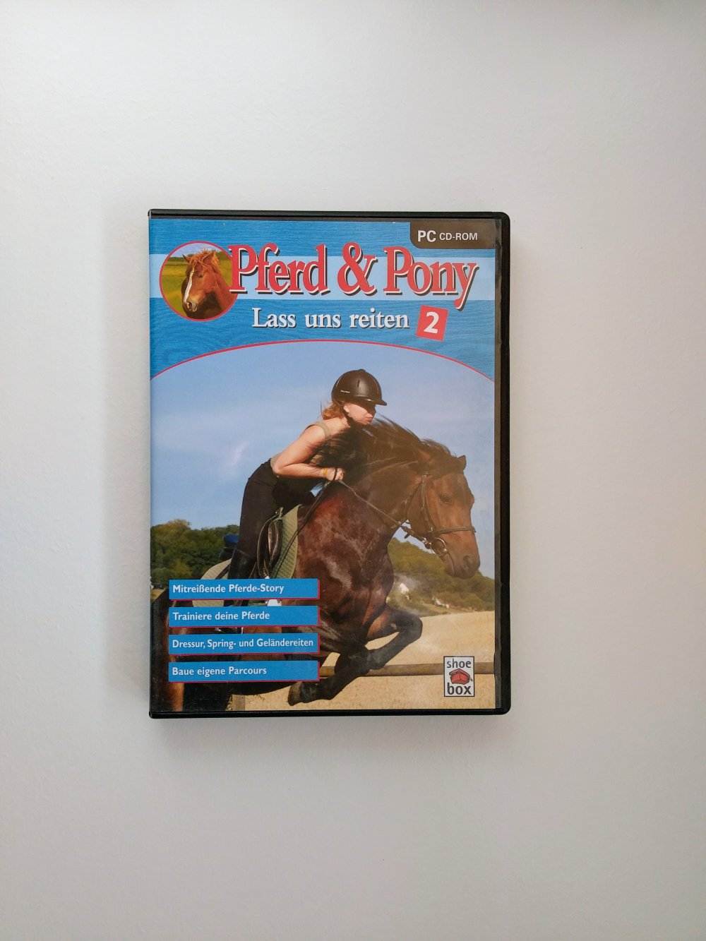 PC-Spiel 