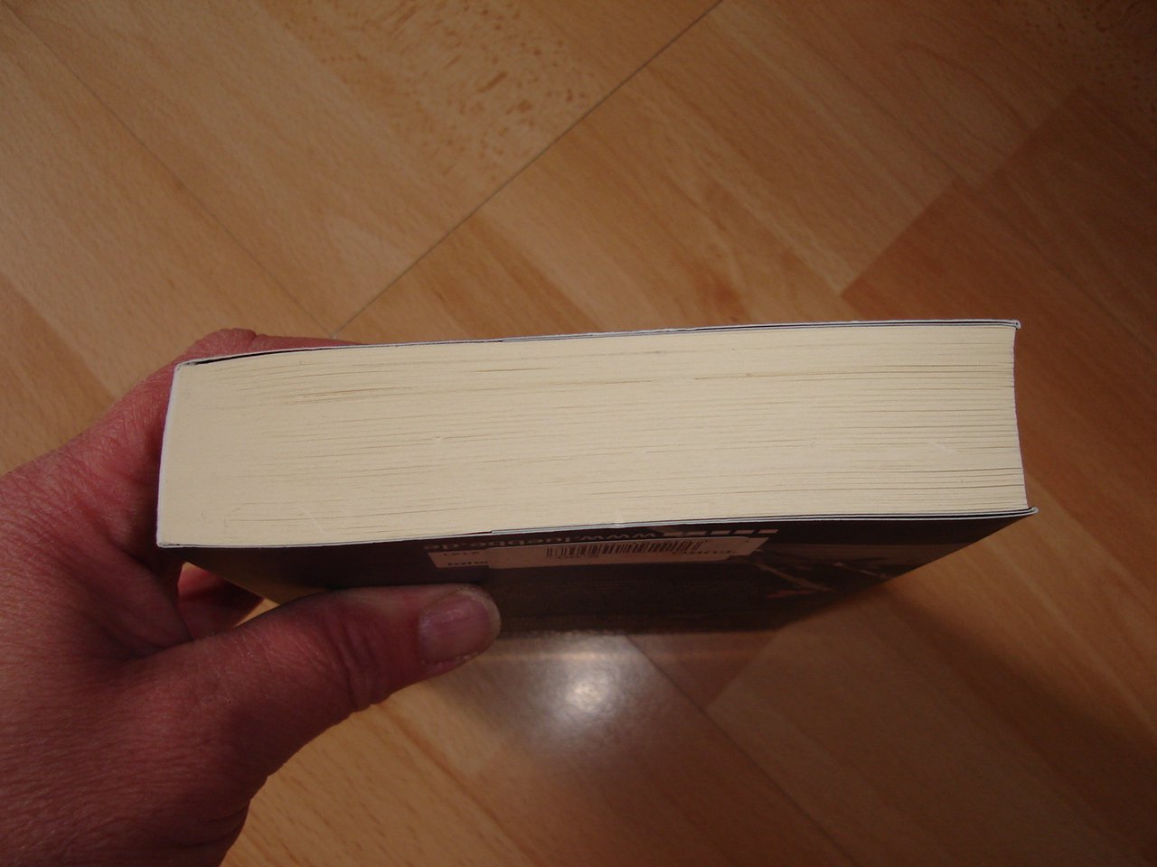 Die Blutschule - Max Rhode # Fitzek - Taschenbuch - neuwertig +Lesezeichen