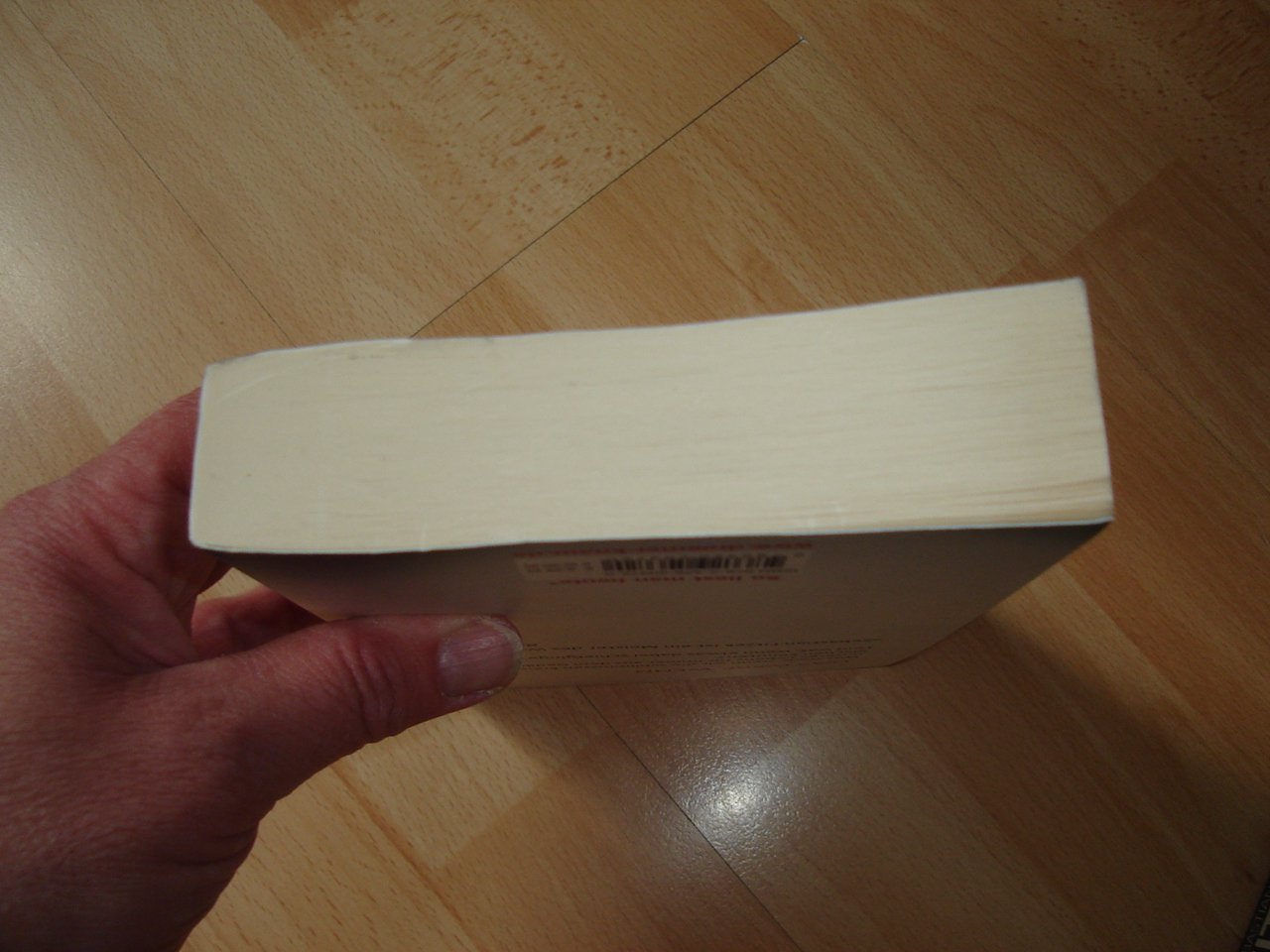 Splitter - Sebastian Fitzek - Taschenbuch - Neuwertig - 2010