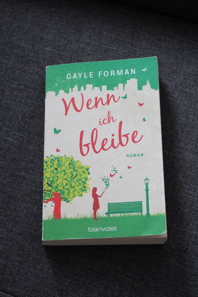 Taschenbuch, Roman 
