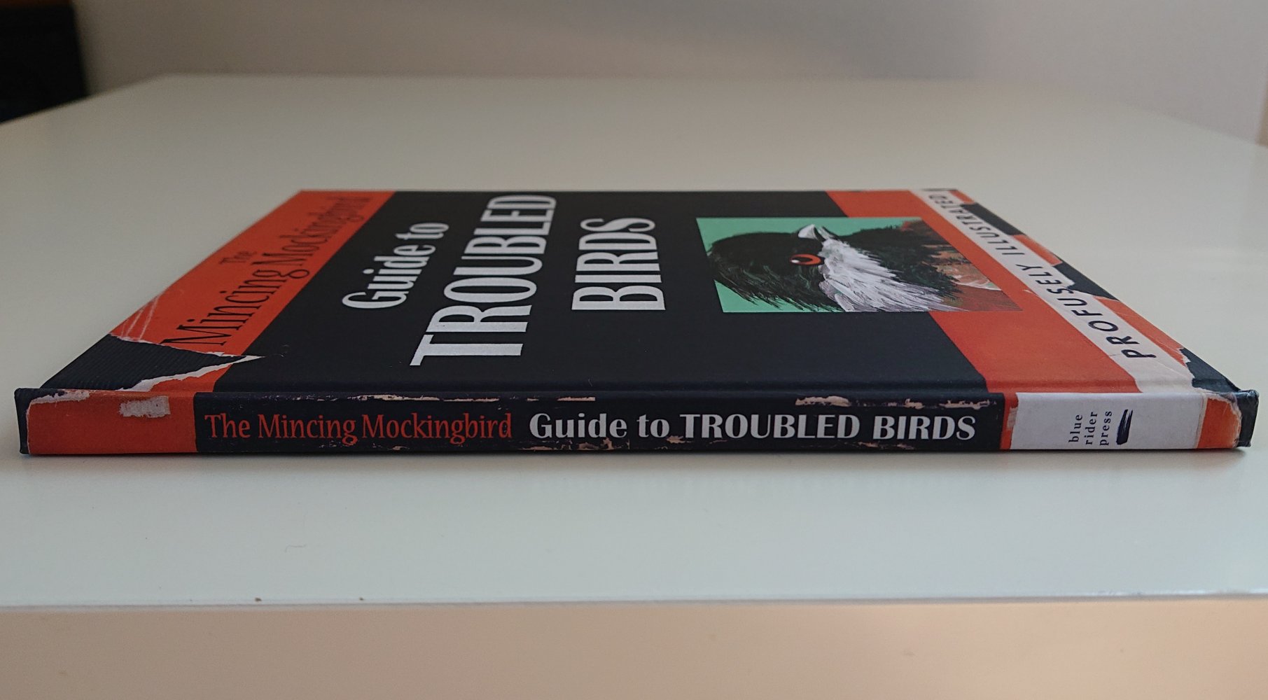The Mincing Mockingbird Guide to Troubled Birds