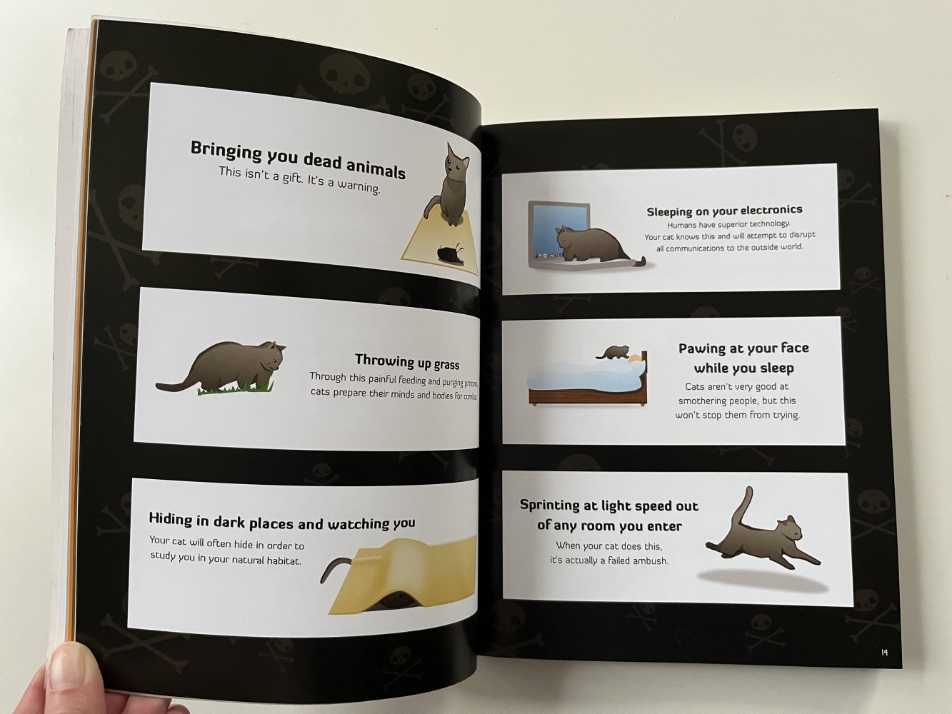 How to tell if your cat is plotting to kill you (English)
