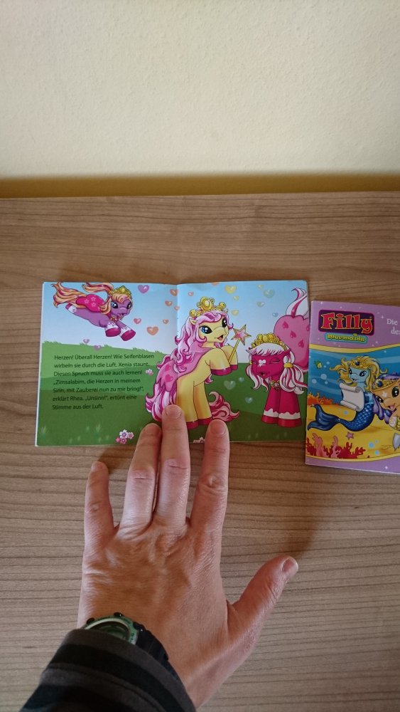2er Pack Mini Bücher 
