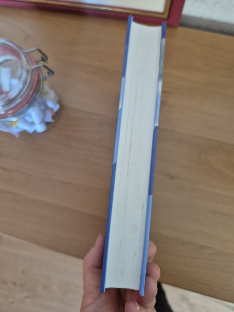 Inspektor Oktavius und die vermisste Maus