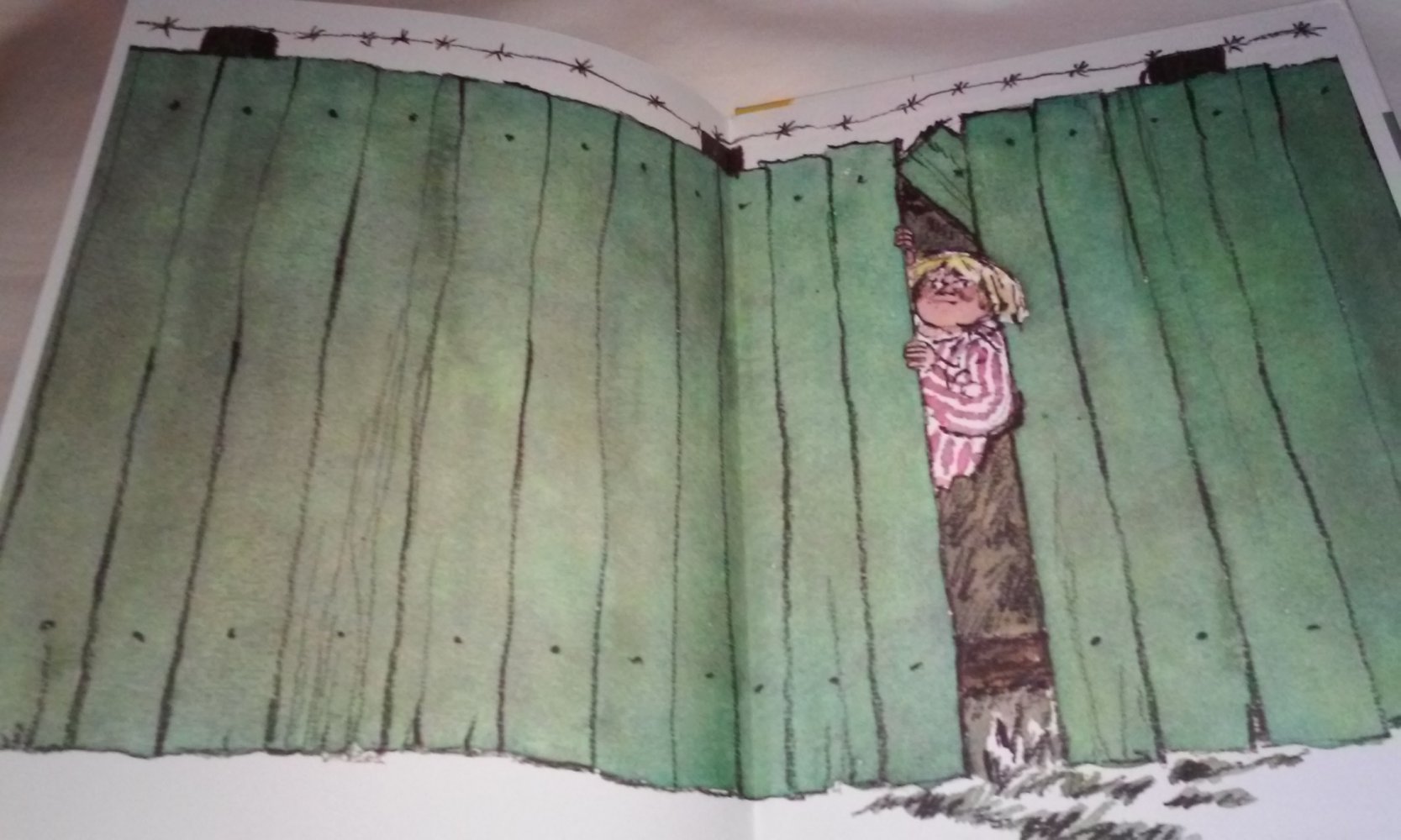 Kinderbuch-Klassiker  Karlchen Duckdich