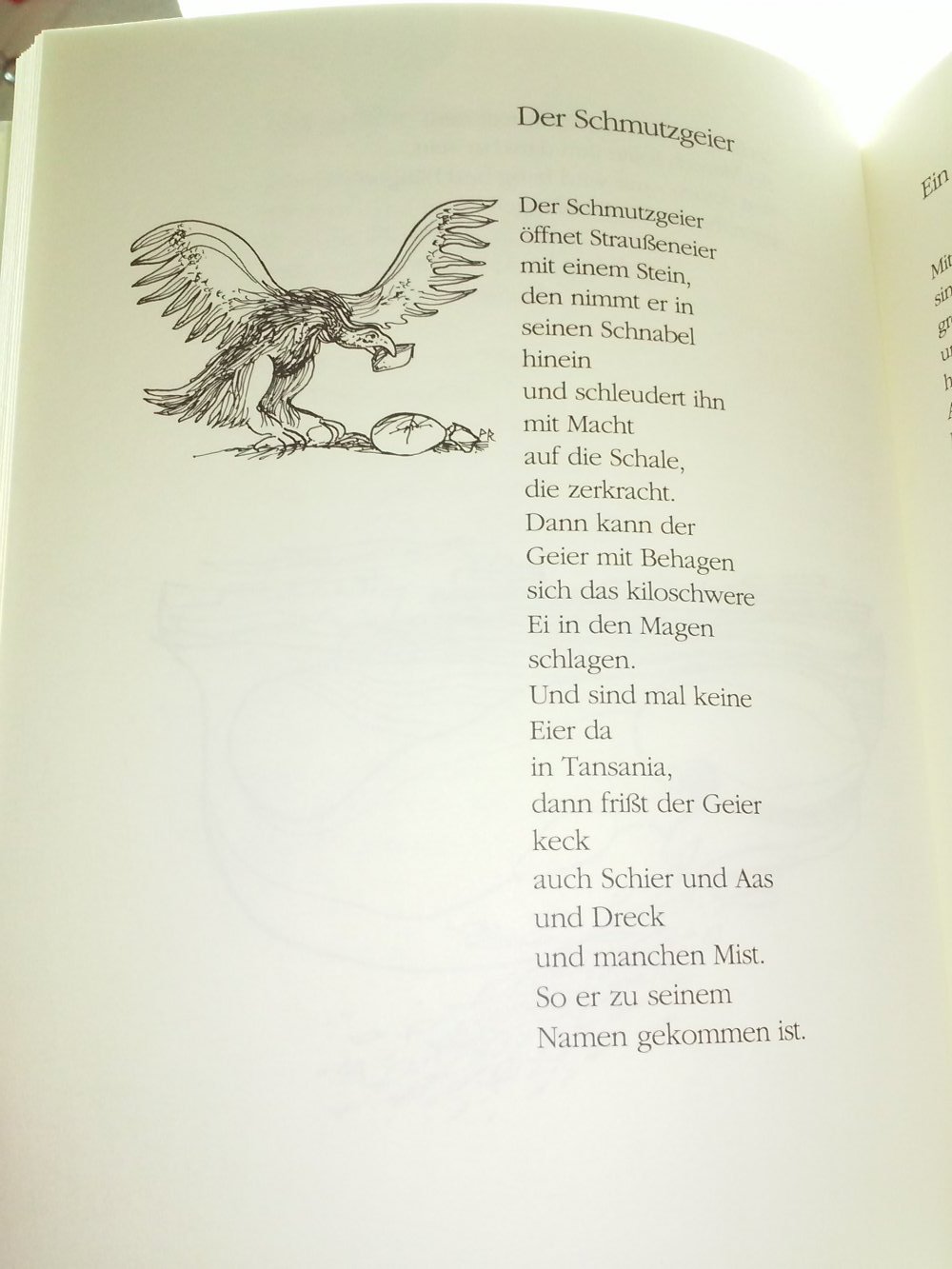 Tiere sprechen dich an (von 7 - 107 Jahren) altes Kinderbuch