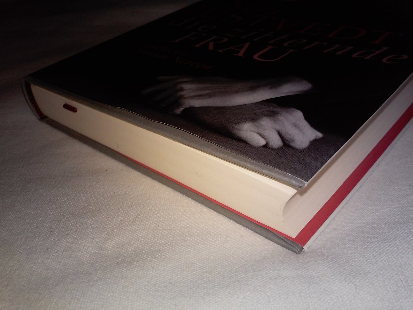Neu! Siri Hustvedt: Die zitternde Frau: Eine Geschichte meiner Nerven